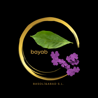 2bayab.web png